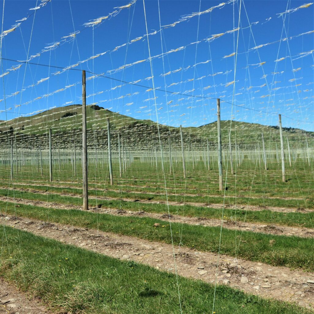 EARTHTWINE™ Compostable Twine, Green 3,800m spool Extrutec