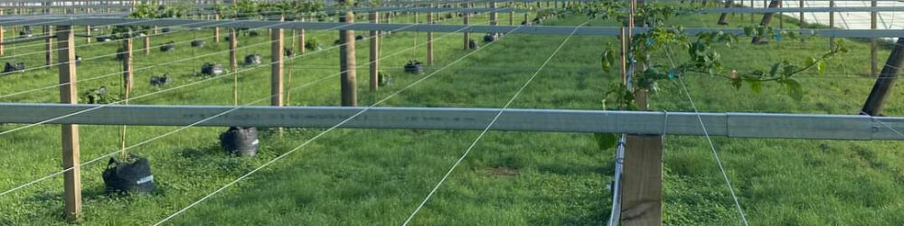 Agricultural wire