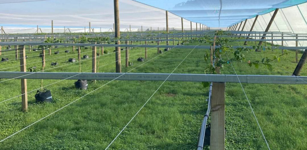 Agricultural wire - Extrutec